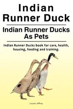 Indian Runner Duck. Indian