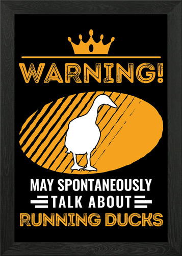 Indian runner duck framed - runner, wall