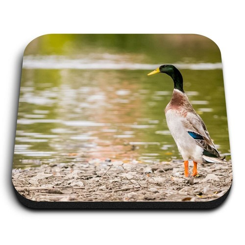 Square mdf magnets - mdf, pretty