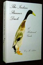 Ashton, Mike & Chris THE