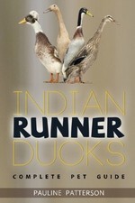 Indian Runner Ducks: The