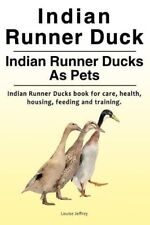 Indian Runner Duck. Indian
