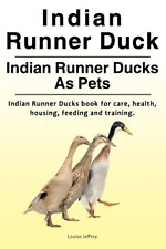 Indian Runner Duck. Indian