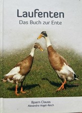 Indian Runner Ducks -  in