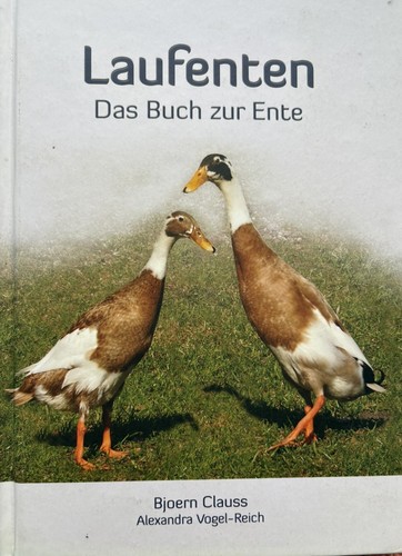 Indian runner ducks in - runner,