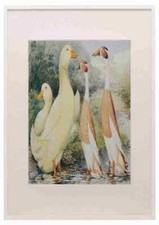 Ludlow JW Wrights Indian