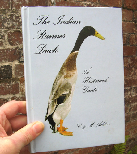 2002 the indian - 2002, duck-