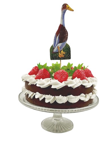 Indian runner duck cake - runner,