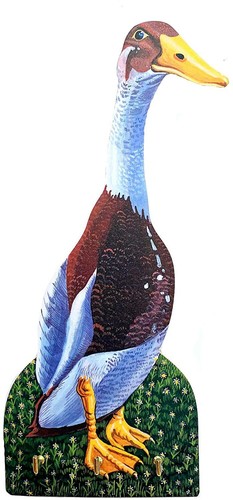 Indian runner duck - runner,