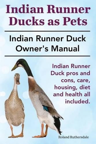 Roland ruthersd indian runner - indian,