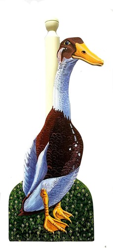Indian runner duck - indian,