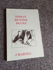 Indian Runner Ducks Rare