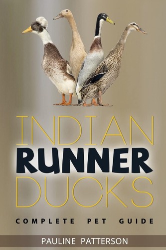 Indian runner ducks - indian, the