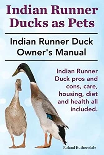 Indian runner ducks - runner, as