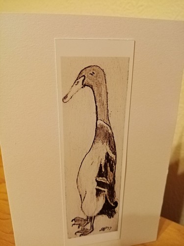 Indian runner duck birthday - runner,