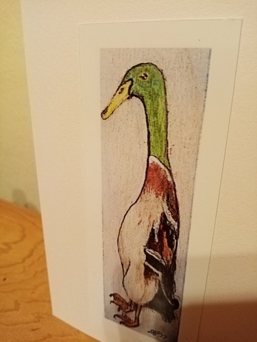 Indian runner duck birthday - runner,