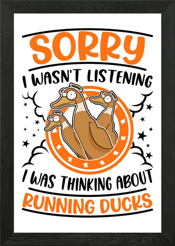 Indian runner duck - runner, wall