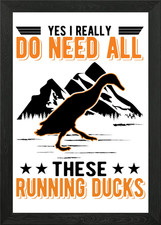 Indian Runner Duck Framed Wall