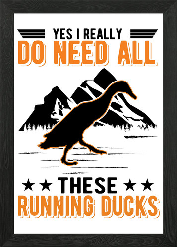Indian runner duck - indian, framed