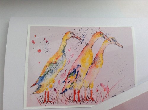 Indian runner ducks birthday - runner,