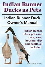 Indian Runner Ducks as Pets