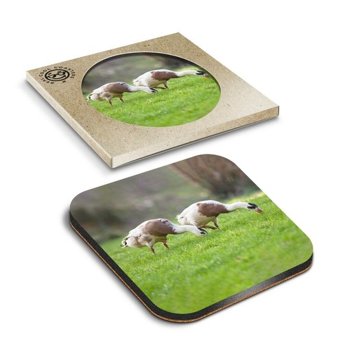 Boxed square coasters - x,