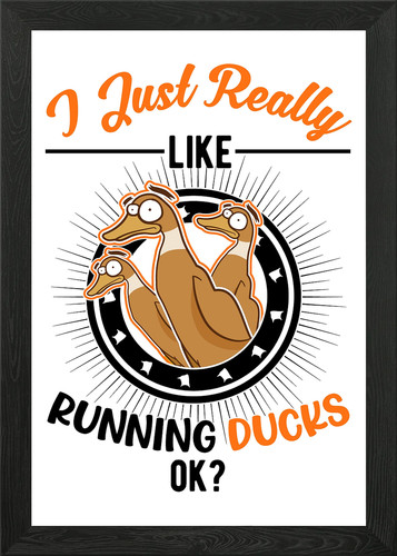 Indian runner duck - indian, framed