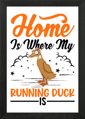 Indian runner duck - indian,