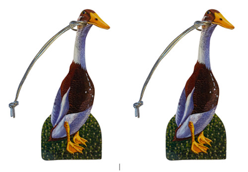 Indian runner duck christmas - indian,
