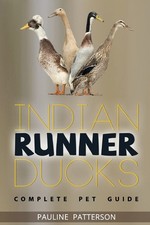 Indian Runner Ducks The