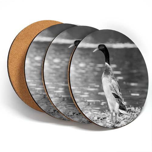 Coasters bw pretty - ,