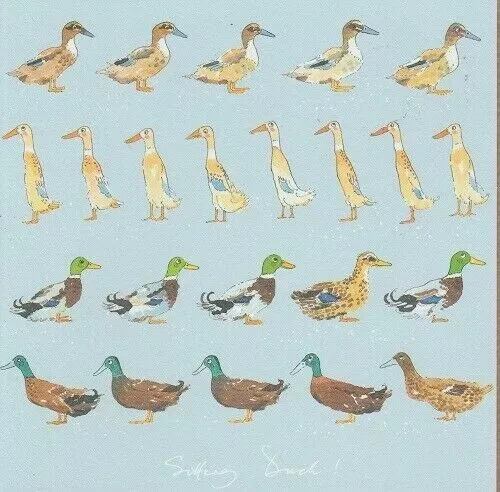 Ducks card sophie - ducks,