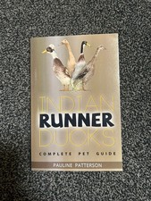 Indian Runner Ducks: The