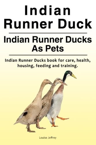 Indian runner duck - runner, duck.